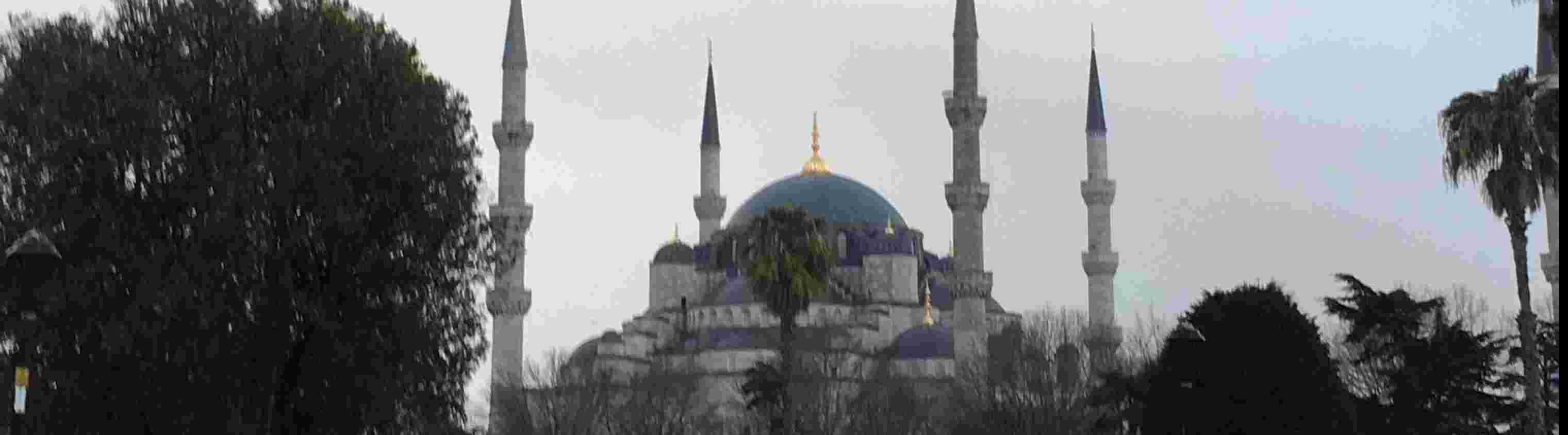 Furkan Elmas